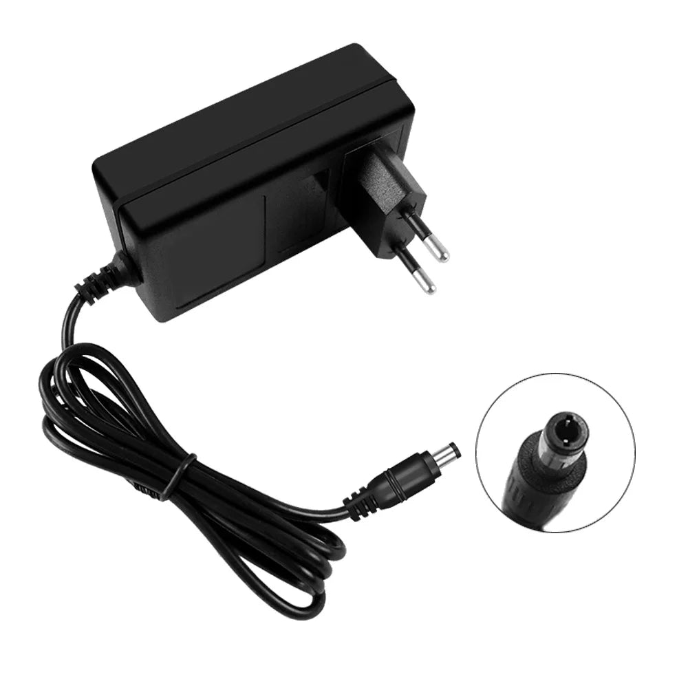 21V 12.6V Lithium Battery Charger 2A 3A for 18V Electric Dri