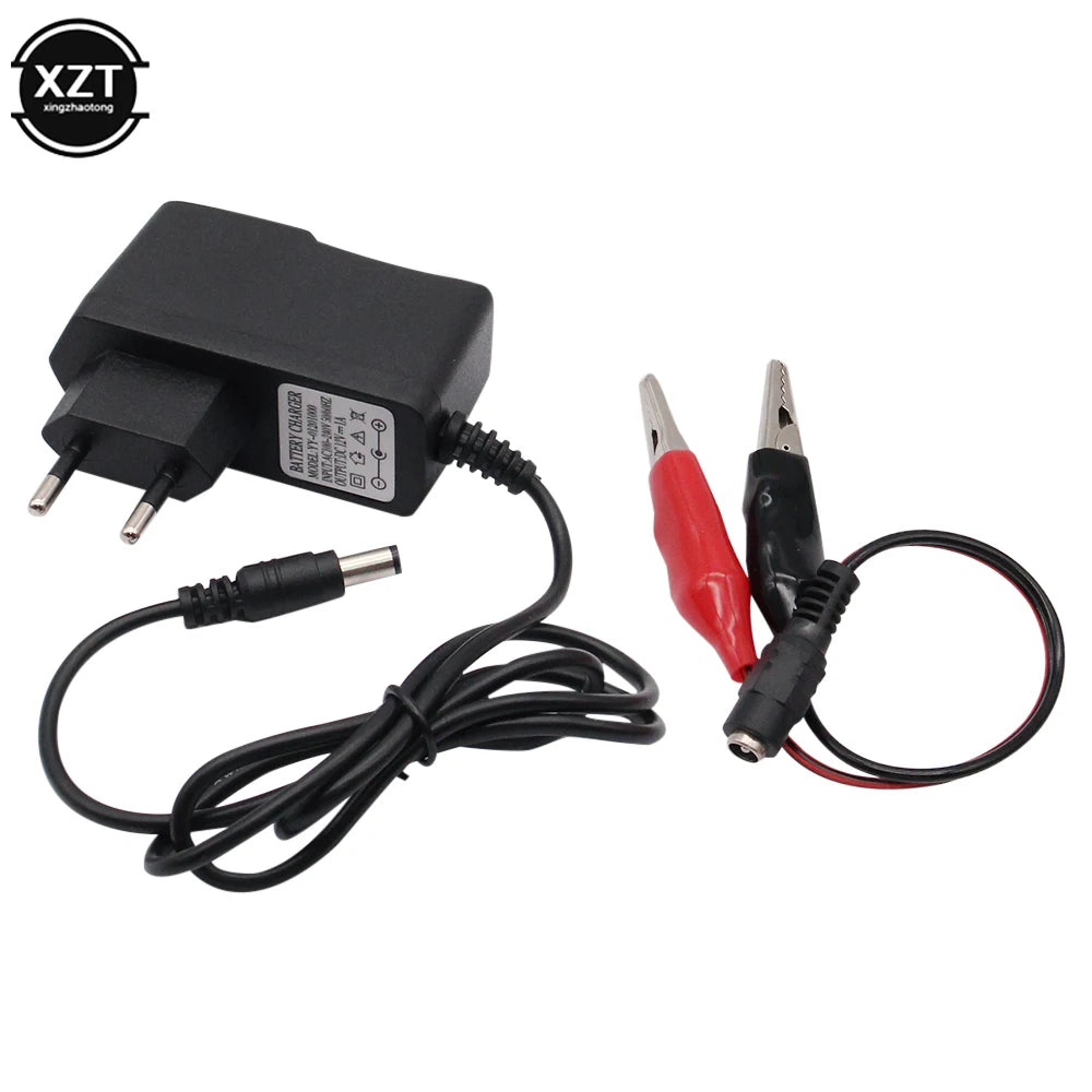 12V 1000ma Lead Acid Dry Battery Charger for Car Motorcycle 